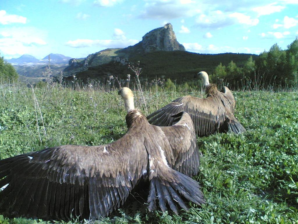 Casa Rural Coripe Esterno foto